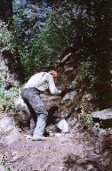 Conservation Work on the Middle Fork near Hunting Lodge